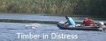 Timber in distress